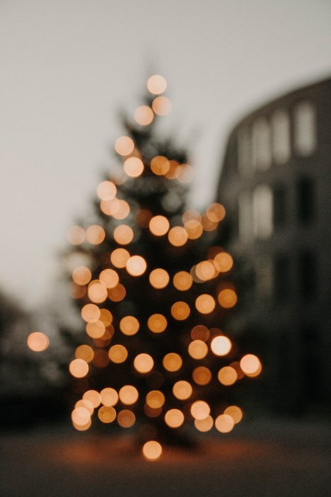 带有模糊的散景灯的圣诞树