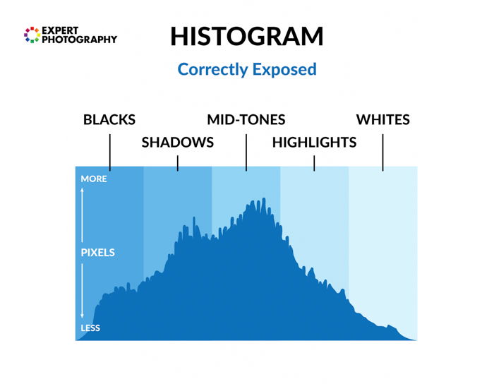 Diagram of a photography histogram with terms overlayed