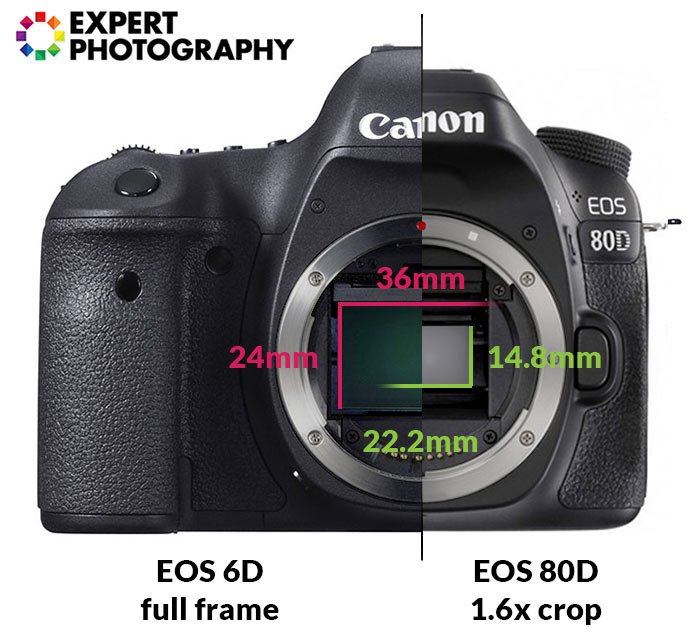 A canon camera with definitions of photography terms overlayed