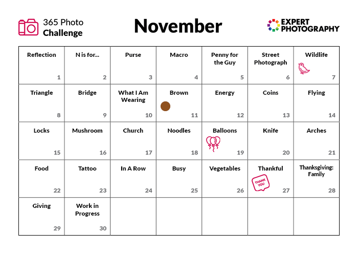 november photo challenge 2022