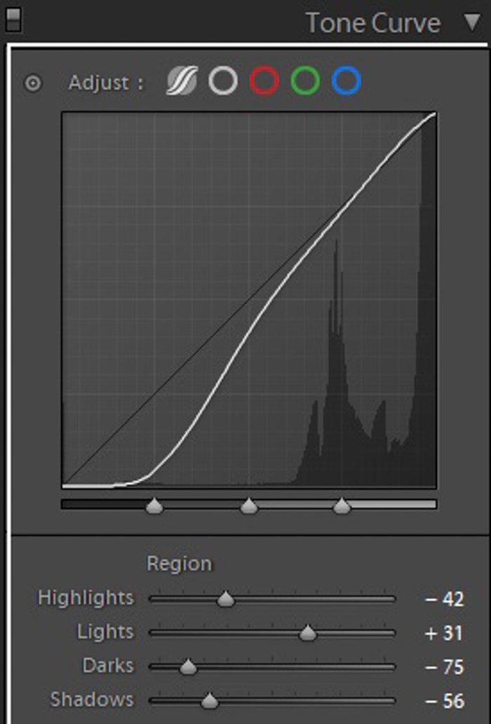 Screenshot of Lightroom Tone Curve