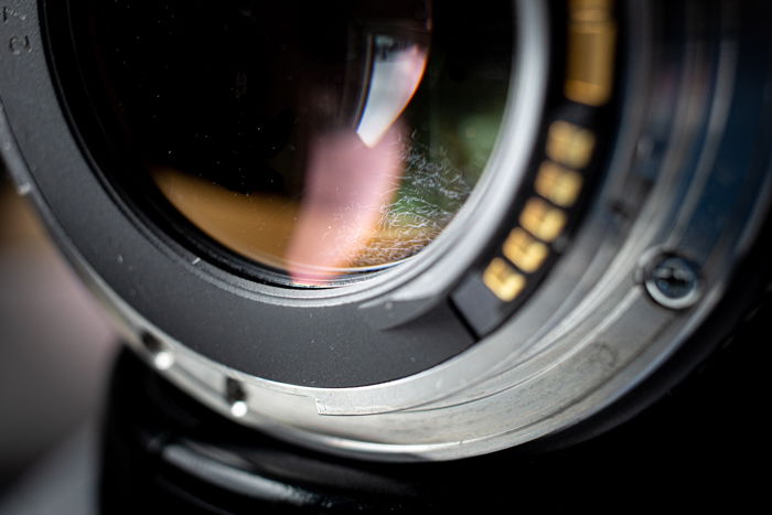 Closeup of a lens with camera lens fungus