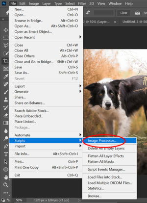 How to Batch Resize Images in Photoshop (Step by Step)