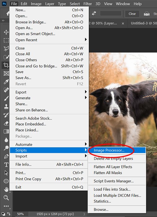 A screenshot of selecting image processor in Photoshop