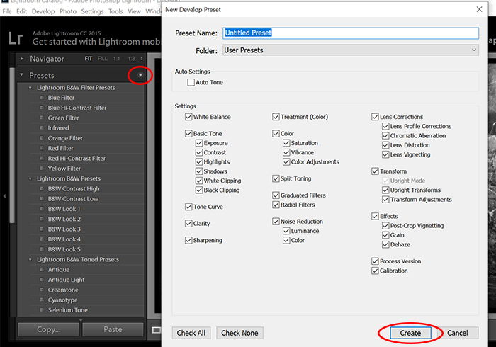 Screenshot of Lightroom black and white settings