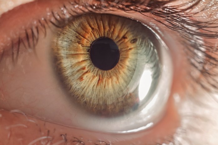 macro image of the lens of the human eye