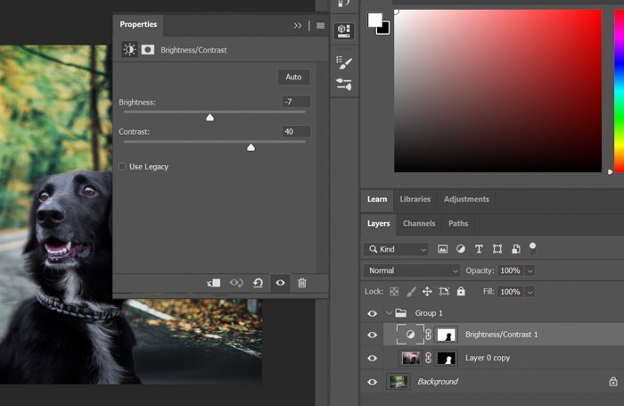 Screenshot of adjusting brightness and contrast in Photoshop
