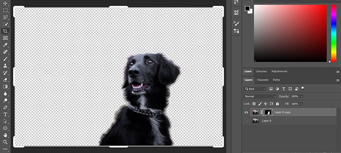 Screenshot of using the quick selection tool in Photoshop