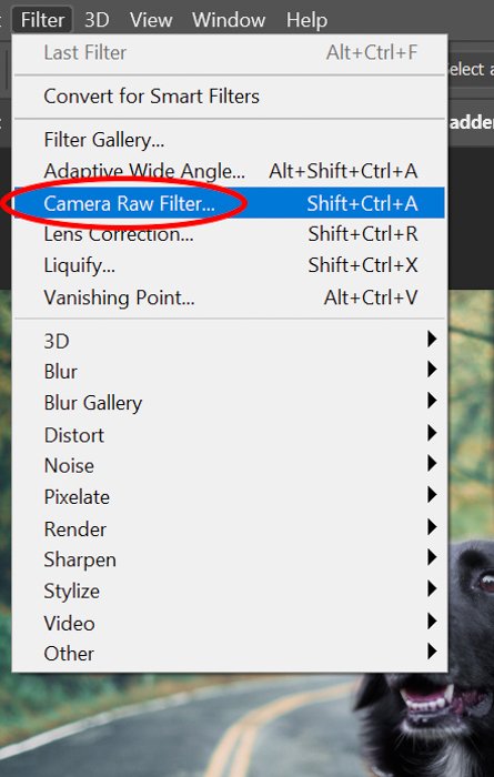 Screenshot of selecting camera raw filter in Photoshop