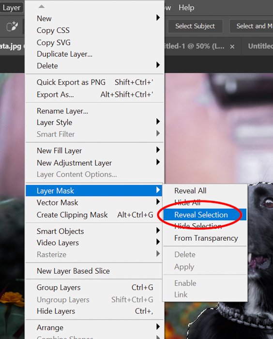 Screenshot of revealing a selection in Photoshop