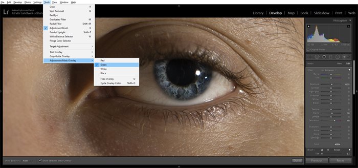 A screenshot of editing a persons eye in Lightroom