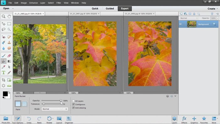 a screenshot of adobe elements photo editing software with quick, guided, and expert modes