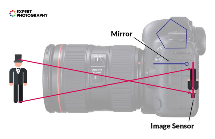 dslr with lenses