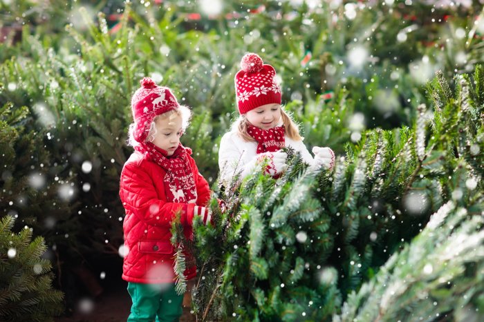 Christmas portrait of two little girls playing with christmas trees