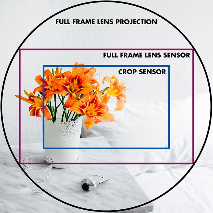 Tipos de lentes cuándo usarlos - un gráfico que muestra la diferencia entre los sensores de fotograma completo y de recorte