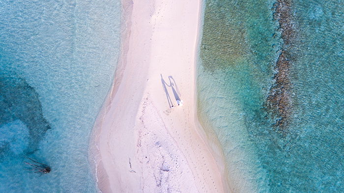 Aerial photo of a bride and groom on a beach