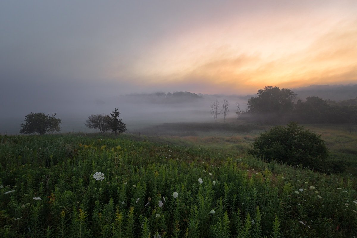 Sunrise landscape with trees and foliage and fog over distant hills in Wisconsin US