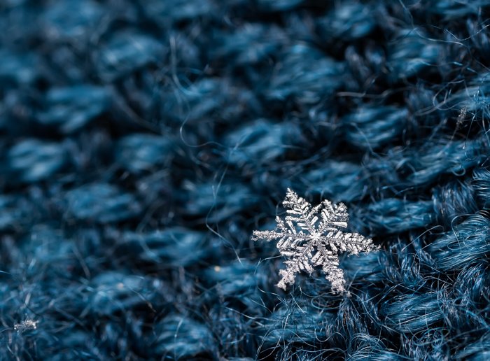A tiny snowflake resting on blue wool