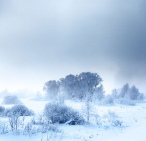 21 Exciting Winter Photography Tips and Ideas to Try