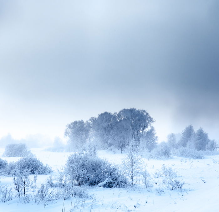 18 Exciting Winter Photography Tips and Ideas to Try - 51