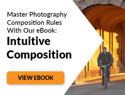What is the Lead Room Principle in Photography Composition  - 6