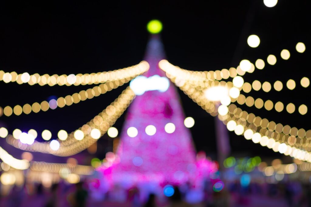 3 Best Camera Settings for Christmas Lights (Tips & Ideas)