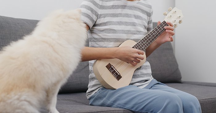 Pet owner play ukulele with her dog.