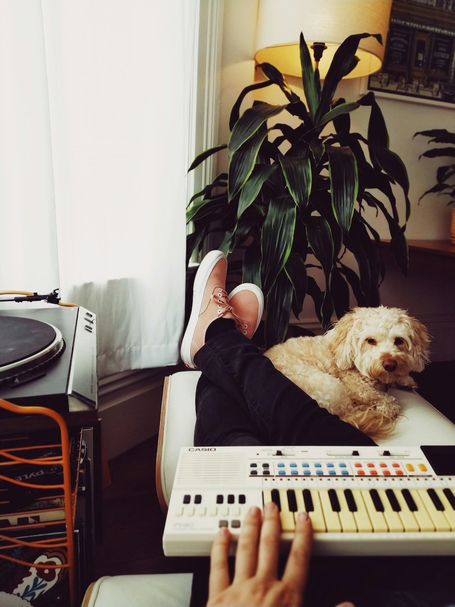 A person playing a keyboard with a dog in the background shot with a pet photo app
