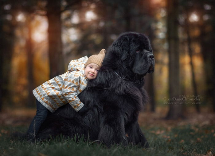 A child is hugging a large black dog in a forest.