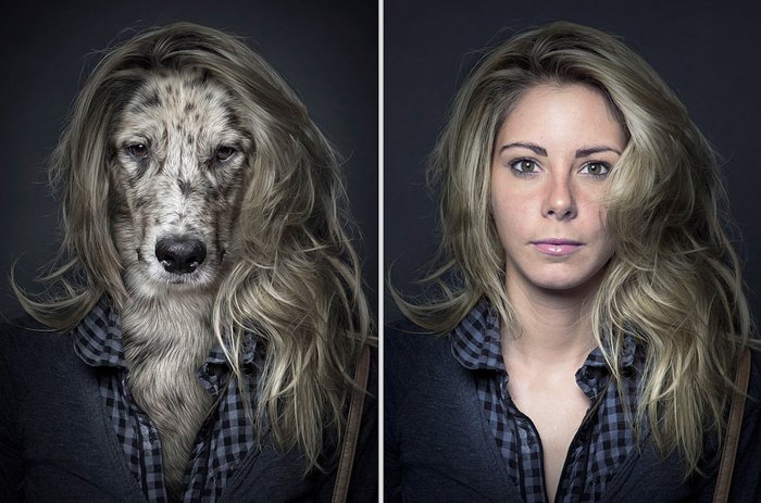 Pet photo idea of a diptych of a dog and its owner looking similar