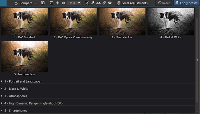 Image of the presets in DxO PhotoLab 4 editing software
