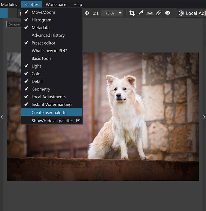 does dxo photolab elite work with photoshop elements