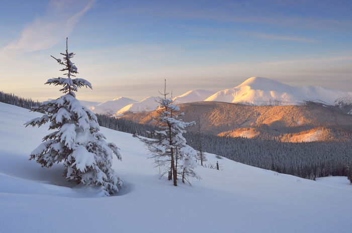 Beautiful snow covered landscape