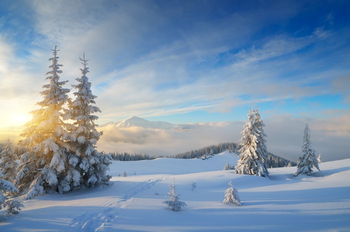Beautiful snow covered landscape