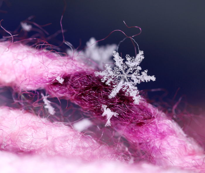 Macro photography of a snowflake