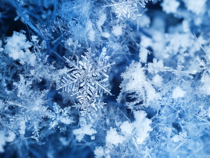 A photo of snowflake covered in fresh snow and breeze at winter.