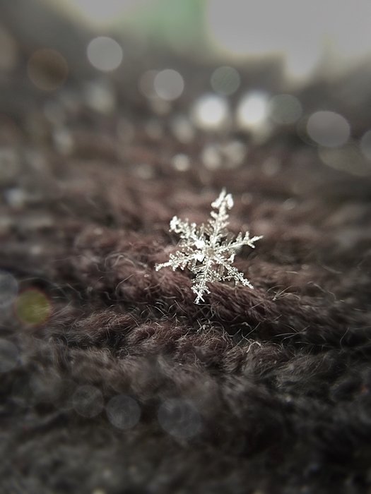 Snowflake macro photography with bokeh.