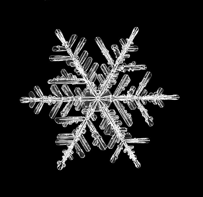 The Snowflake Photographer