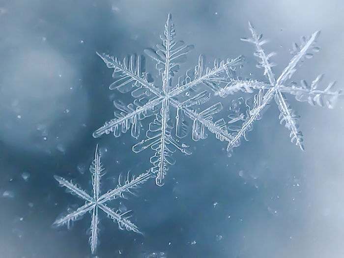 How to Shoot Snowflake Photography  Stunning Macro Snowflakes  - 84