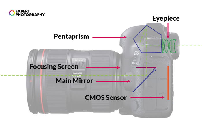 Ilustração das partes de uma DSLR 