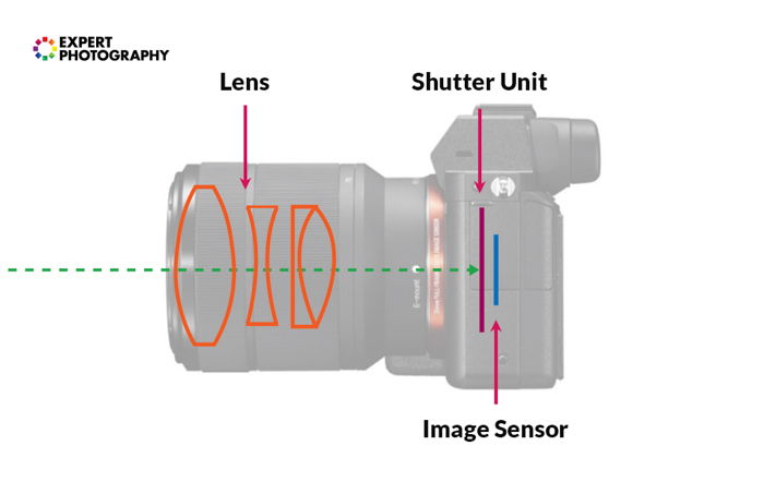 Mirrorless vs DSLR Cameras  Which Should You Buy in 2023   - 23