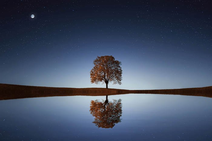 A minimalistic landscape photo shot at night featuring a tree, moon, and a pond.