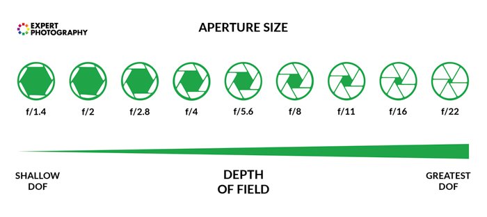 A diagram showing how aperture size, f stop and depth of field work together