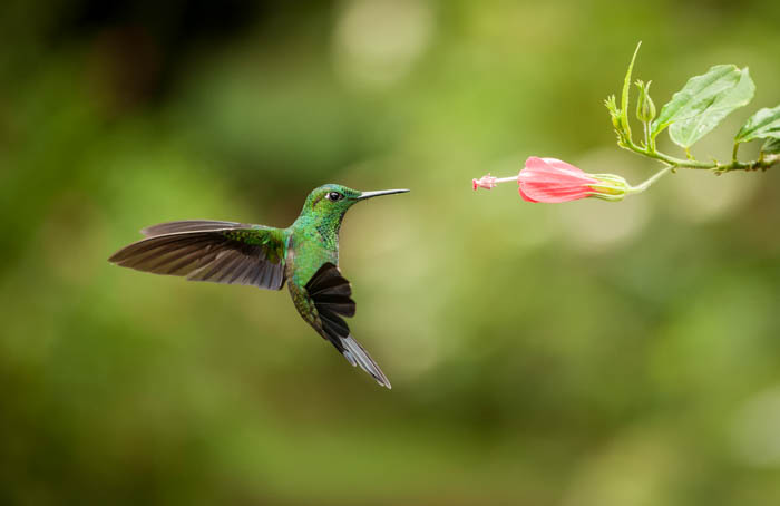 high shutter speed