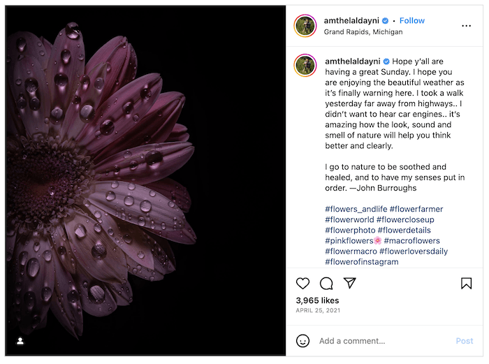 Screenshot of Amthel Al-Dayni's Instagram with a flower and water droplets