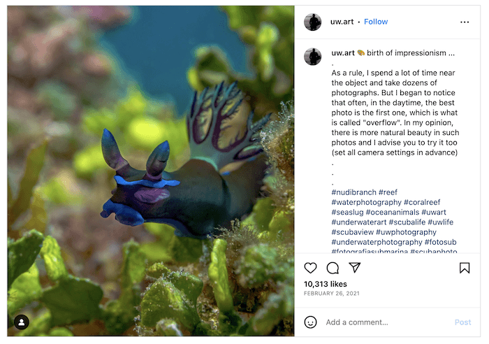 Screenshot of Andrey Savin's Instagram page with an underwater sea sea creature