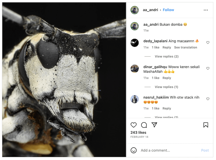 Screenshot of Andriansyah Andriansyah's Instagram with a macro insect photo