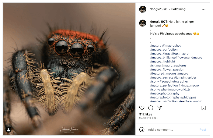 Screenshot of Jamie Price's Instagram with a macro photo of an insect