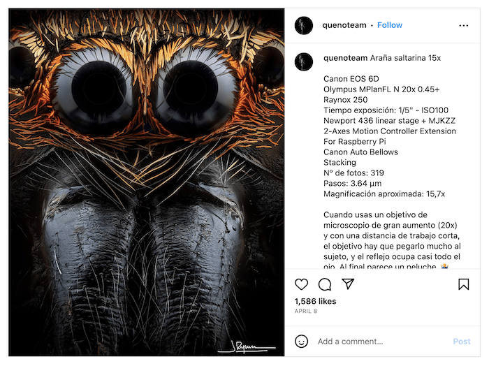 Screenshot of Javier Rupérez's Instagram feed with a macro shot of an insect