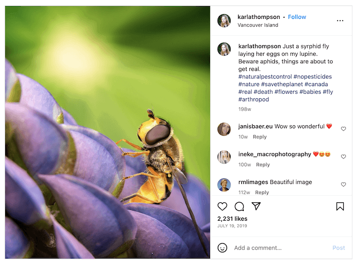 Screenshot of Karla Thompson's Instagram with a. macro bee shot